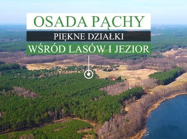 Działka budowlana Poznań, ul. Miejsce: Osada Pąchy-1