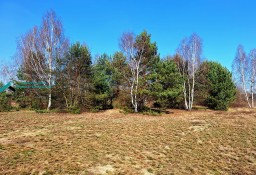 Działka siedliskowa Borzęcin Duży