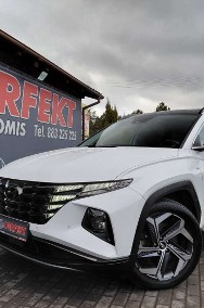 Hyundai Tucson III-2