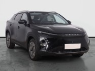 Inna Inny , Salon Polska, 1. Właściciel, Serwis ASO, Automat, VAT 23%,