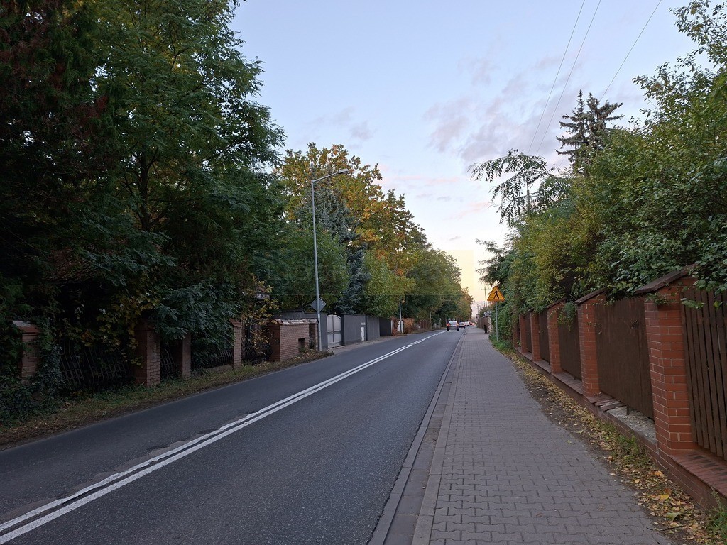 DĄBROWA LEŚNA - Widok 2