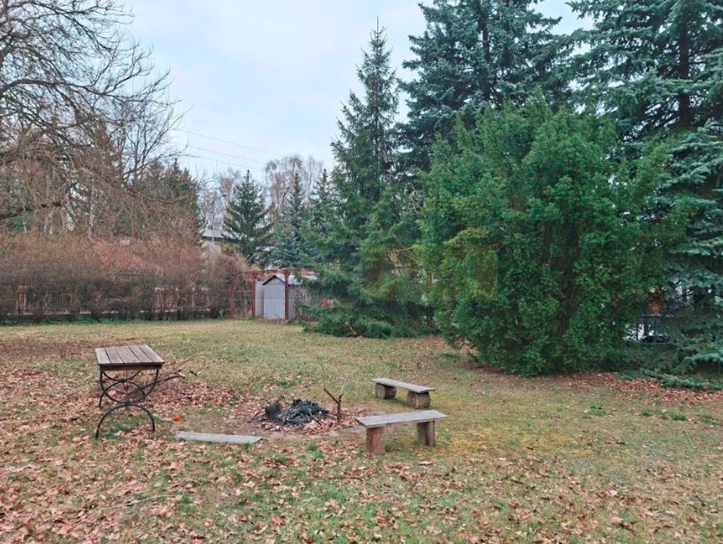 DĄBROWA LEŚNA - Widok 4