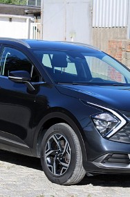 Kia Sportage IV-2