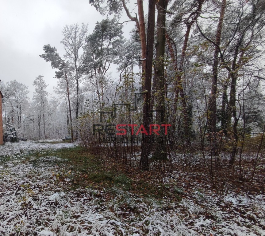 Działka budowlana Międzyborów