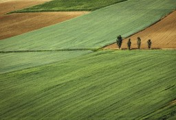 Działka budowlana Ożarów Mazowiecki