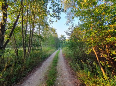 Wiązowna Kościelna, 4 do wyboru-1