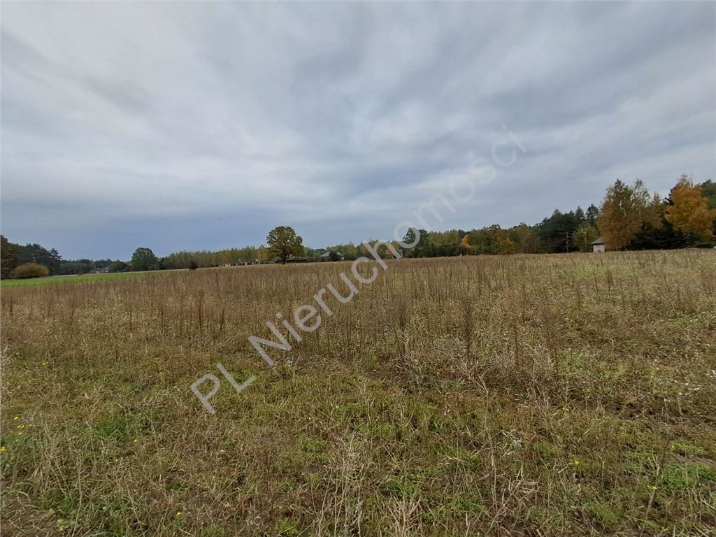 Działka na sprzedaż, 3000 m², Grodzisk Mazowiecki Wężyk, grodziski