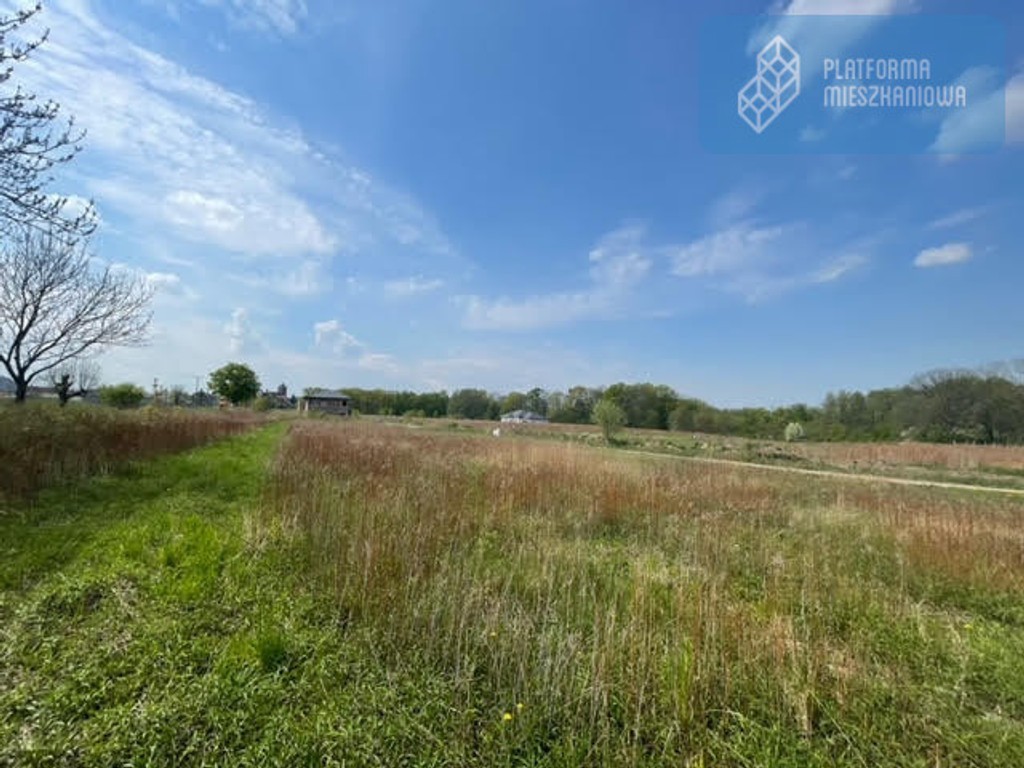 Budowlana z projektemPozwolenie na budowęLas – pohled 5