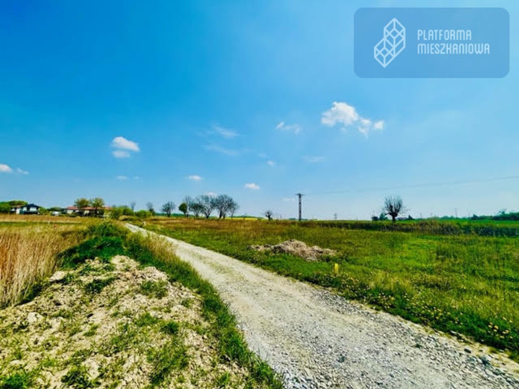 Budowlana z projektemPozwolenie na budowęLas – pohled 6