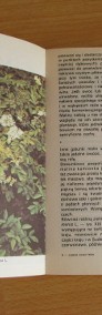 Jadalne owoce leśne - Wiesław Grochowski poradnik -4