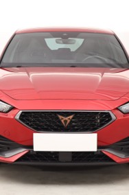 Cupra Leon , Salon Polska, Serwis ASO, Automat, Skóra, Klimatronic,-2