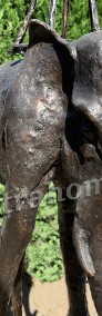 Imponująca Rzeźba z brązu "Słoń jak z obrazu " H170cm -3