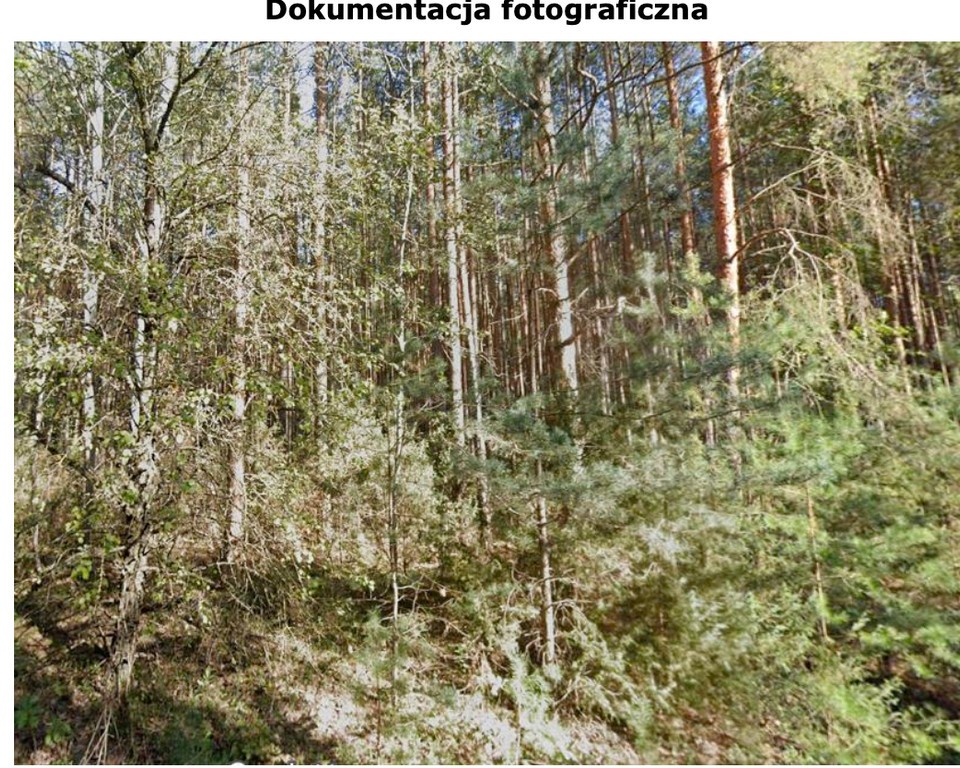 Działka na sprzedaż, 2892 m², Popów Więcki, Popów