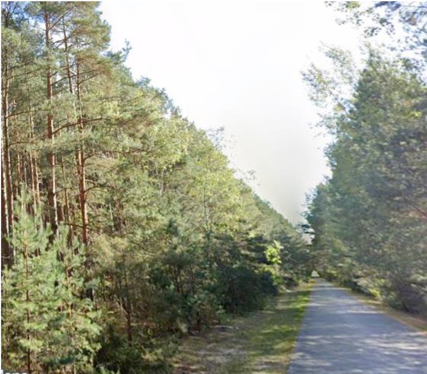Działka na sprzedaż, 2892 m², Popów Więcki - Widok 3