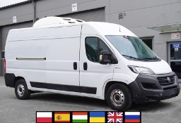 Fiat Ducato F Maxi 3.5 LH2 / chłodnia Isberg / 3 komory chłodnicze / 258389