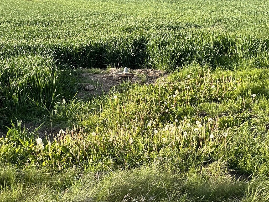 Działka 14816 m² z WZ w gm. Przyłęk pow. Zwoleń. - Więcej