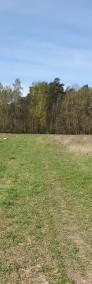 16 działek budowlanych w otocz lasu ,15 min CZMP,okolice Tuszyna-4