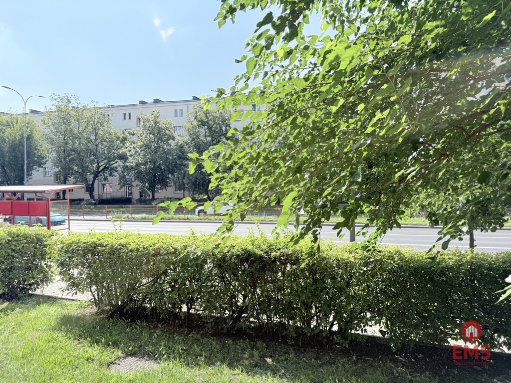 Piłsudskiego 2 pokoje parter - Widok 2
