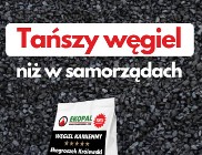 Polski Groszek KWK Janina 23-24MJ/kg węgiel kamienny +dost cała PL 