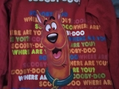 Bluzka dziewczęca Scooby-Doo -2
