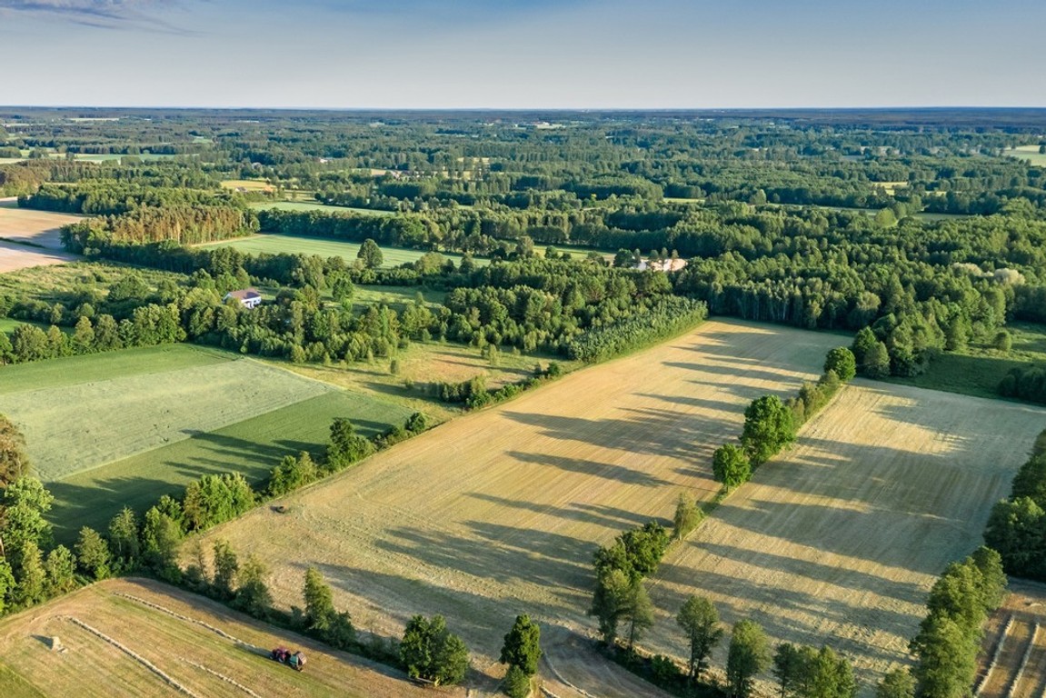 Gotowy teren inwestycyjny blisko A2 - Widok 2