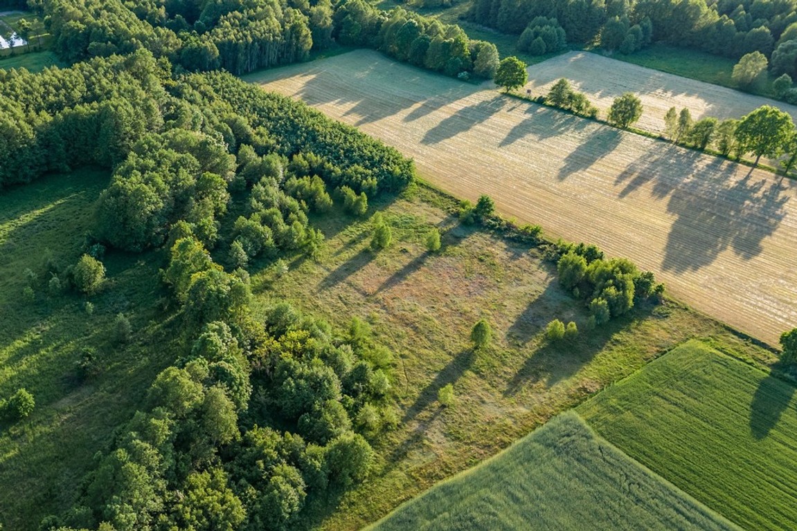 Gotowy teren inwestycyjny blisko A2 - Widok 3