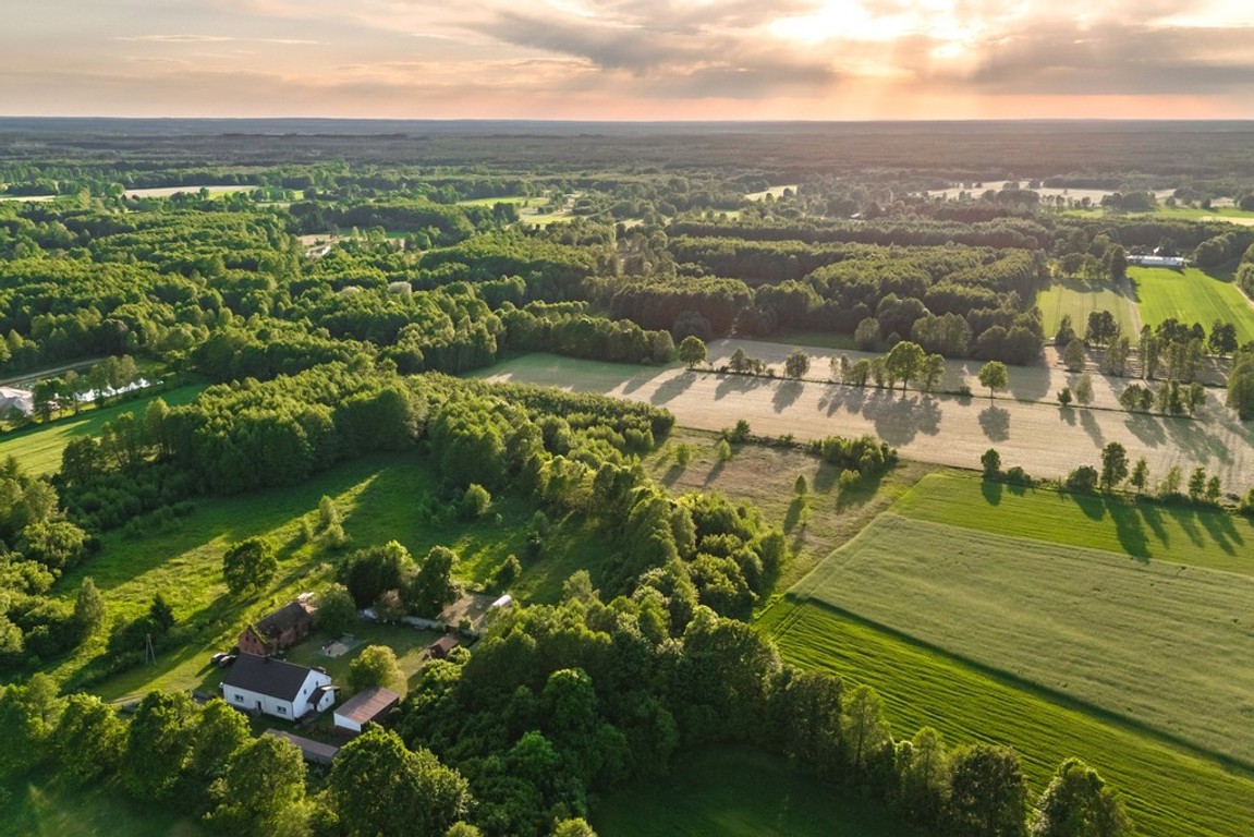 Gotowy teren inwestycyjny blisko A2 - Widok 4