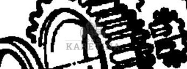 Fendt Favorit 514 Koło Zębate Walcowe CZĘŚCI 514100220220-1