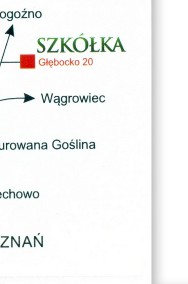 Choinki świerk i jodła, Głębocko 20, gm. Murowana Goślina, woj. Wielkopolskie-2