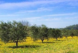 Działka inna Beja