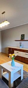 Komfortowe 2-pokojowe mieszkanie na Pieczewie-3