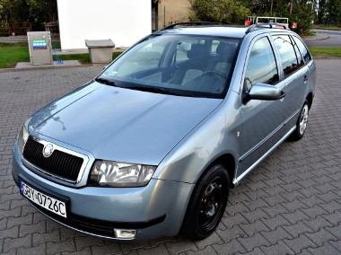 Skoda Fabia I-1