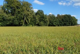 Działka usługowa Czechowice-Dziedzice, ul. Katowicka