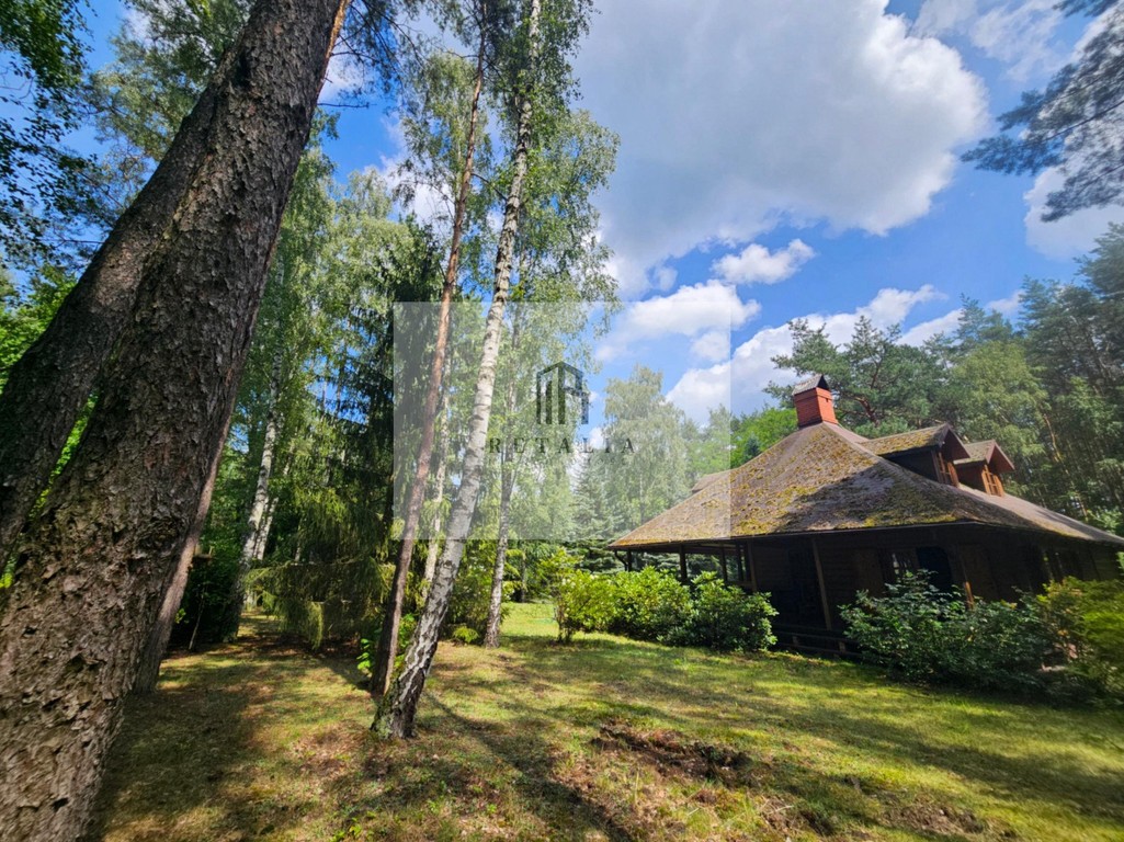 Domek w lesie, Adamów-Wieś, ogród