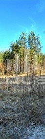Działki budowlane przy lesie-4