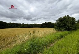 Działka siedliskowa Mierzeszyn, ul. Gdańska