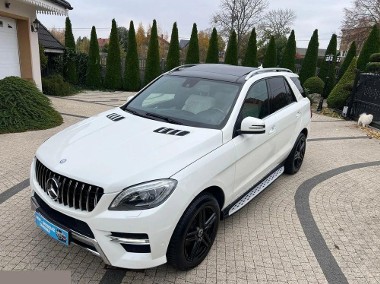 350 BlueTec 4-Matic 258KM 2013r Stan perfekcyjny!-1