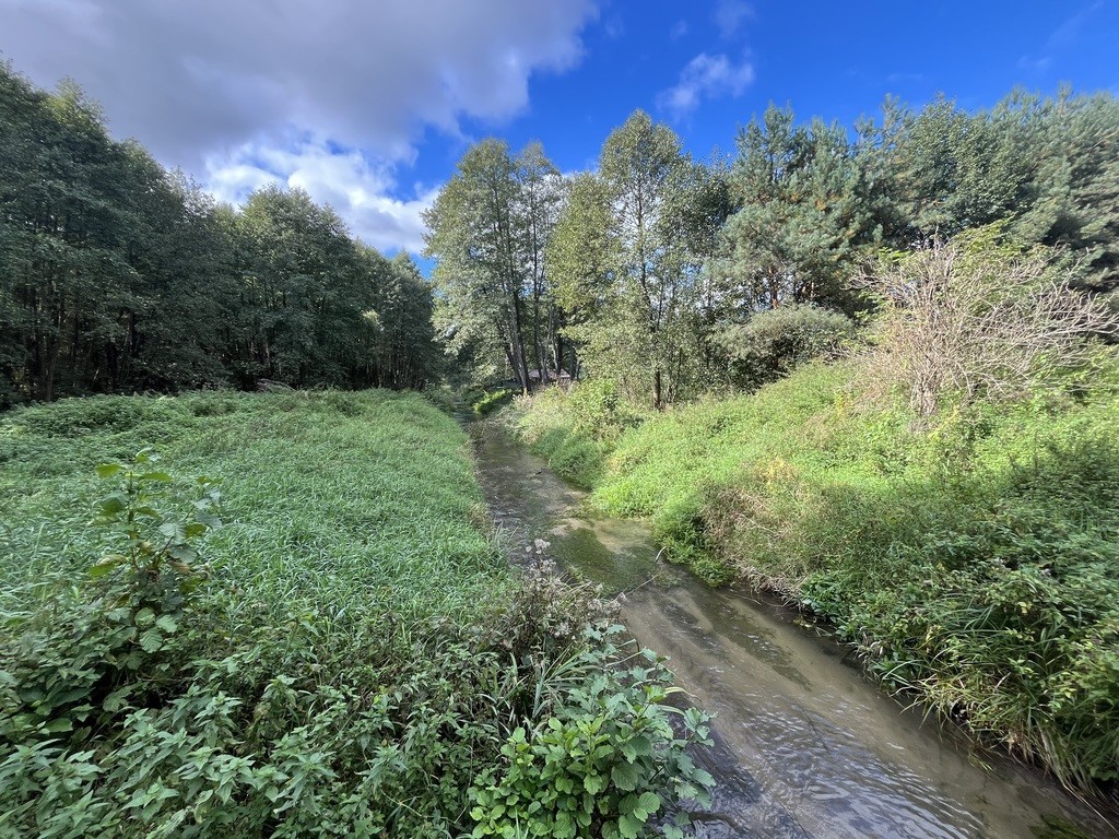 Działka 1441 m² prze drodze 747 w Lipie Miklas. - Widok 4