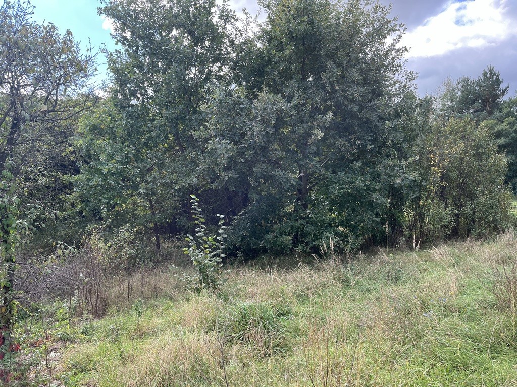 Działka 1441 m² prze drodze 747 w Lipie Miklas. - Więcej