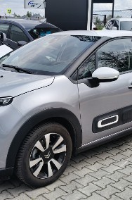 salon Polska -2