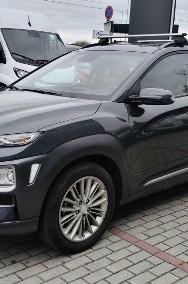 salon Polska -2