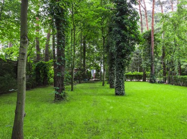 Piękny dom w leśnym ogrodzie-1