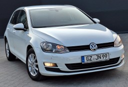 Volkswagen Golf VII *1.6TDi CR* 110KM* Bardzo Ładny * komputer* TEMPOMAT* NAWiGACJA*