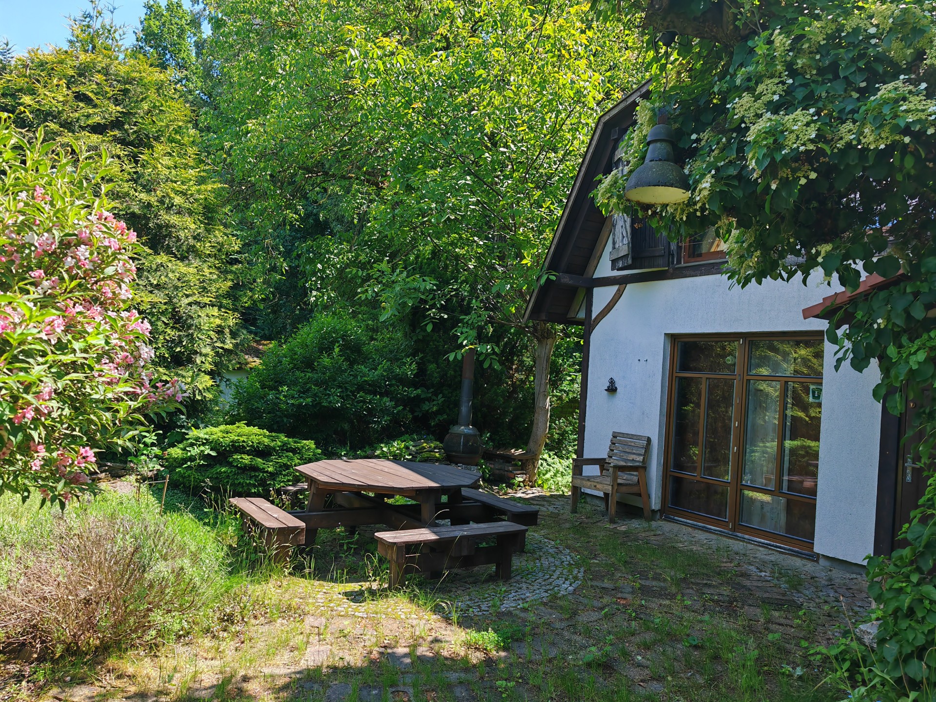 Piękny ogród działkowy (działka ROD) z domkiem - Widok 2