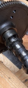 JCB 444 TA4-55 L1 4.4L Wałek Rozrządu Koło Zębate CZĘŚCI 320/04186-4