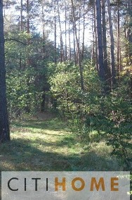 Działka leśna Żanęcin-2