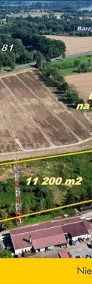 Ponad Hektar Działki w Drogomyślu-4