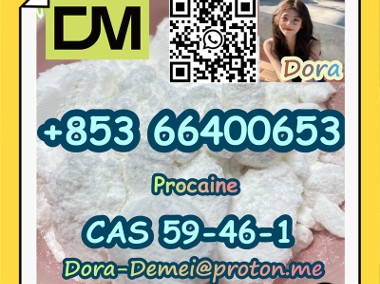 Procaine，CAS 59-46-1-1