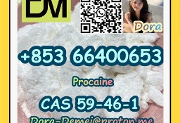 Procaine，CAS 59-46-1