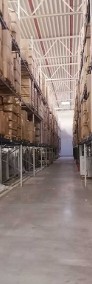 Magazyn/warehouse 4430 sqm. 2-years contract-3